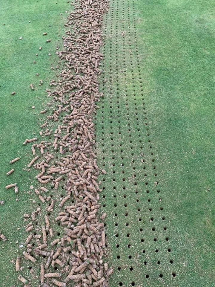 pinchado greenes Tambre Golf