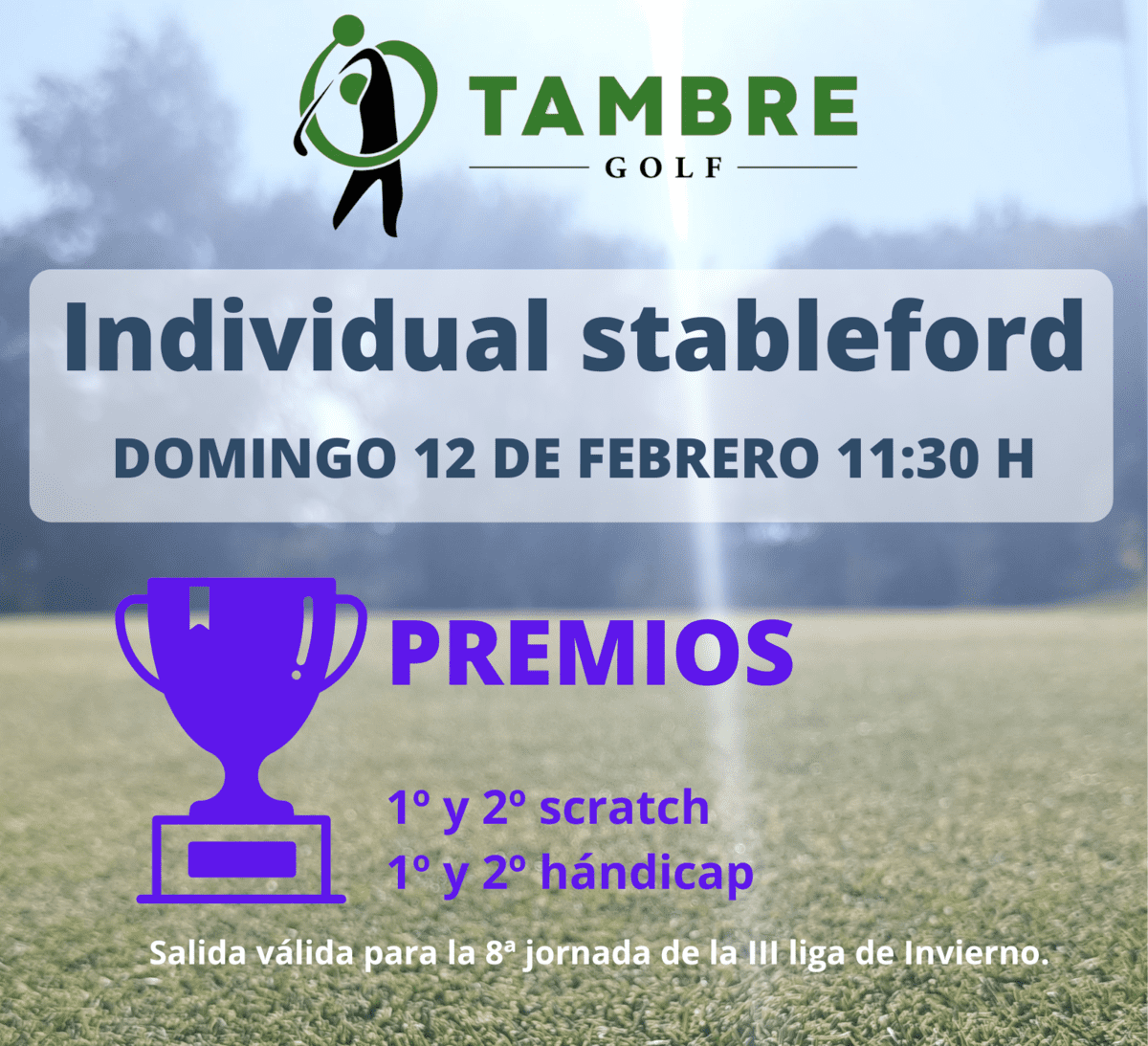 individual stableford