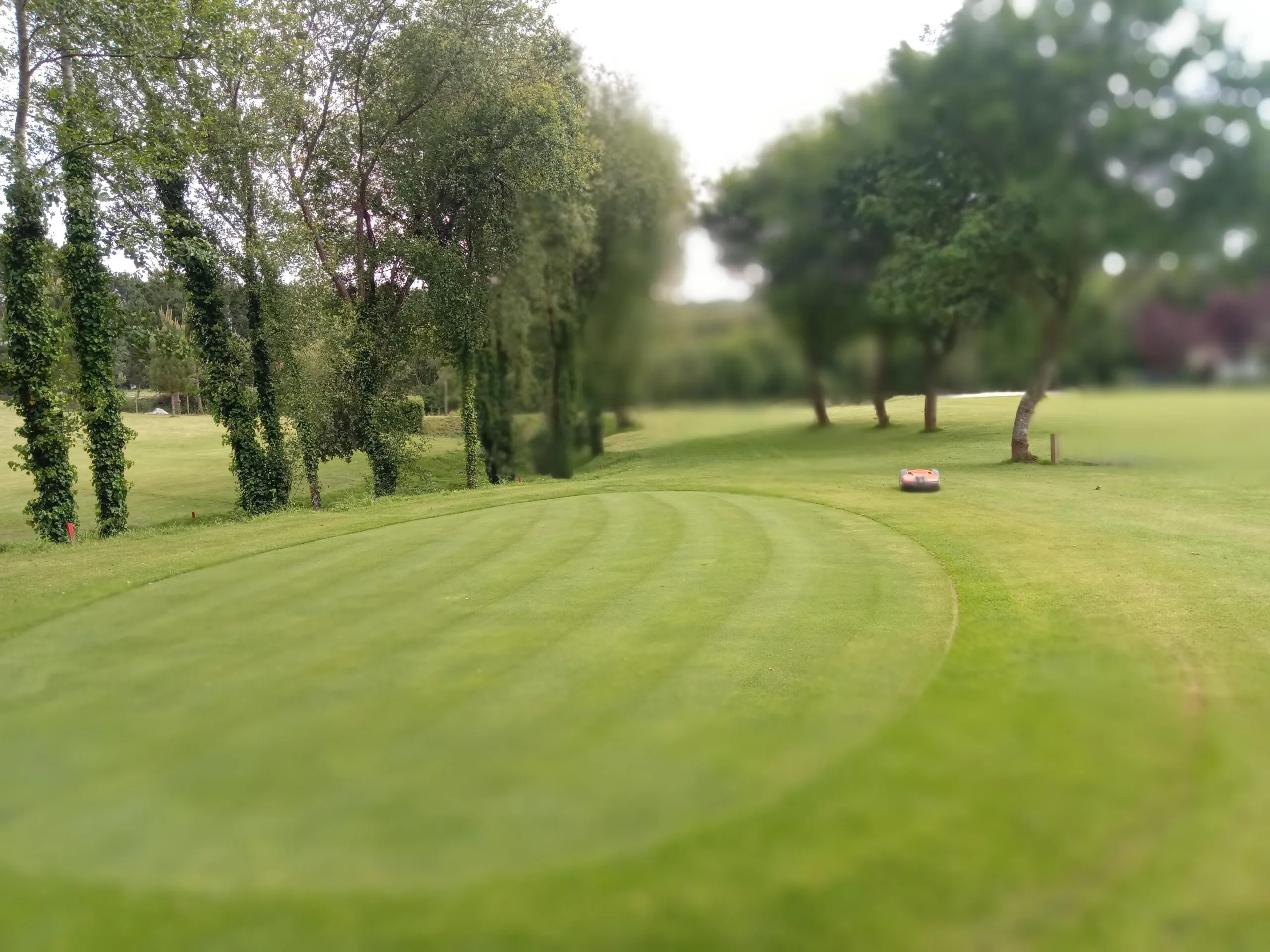 Mantenimiento tambre golf y croquet 2023