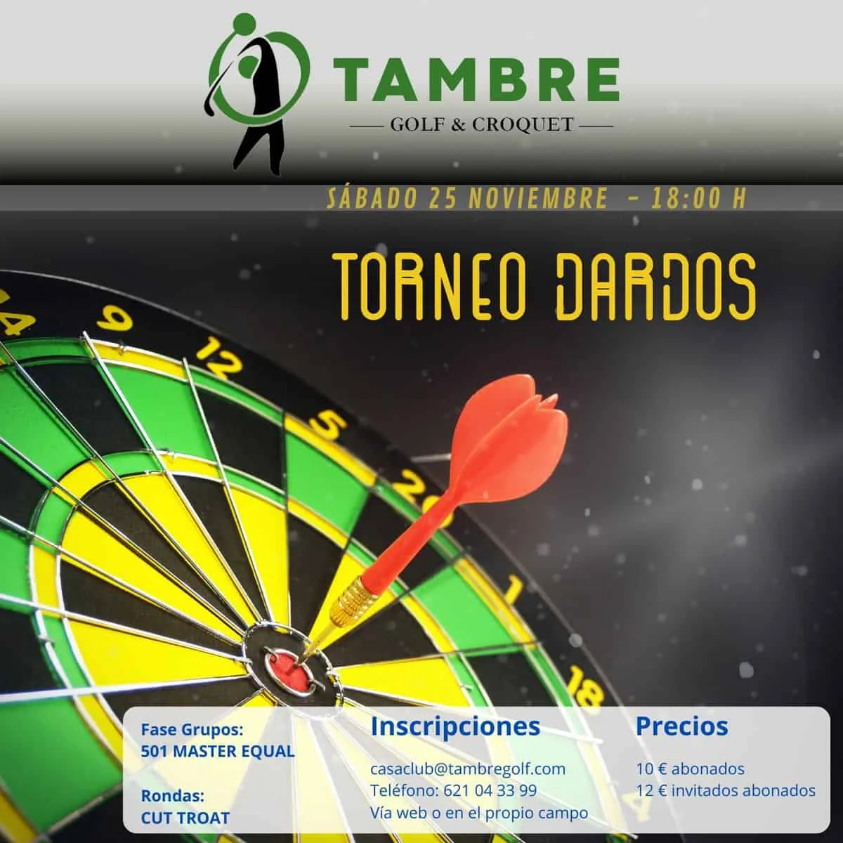 Torneo dardos