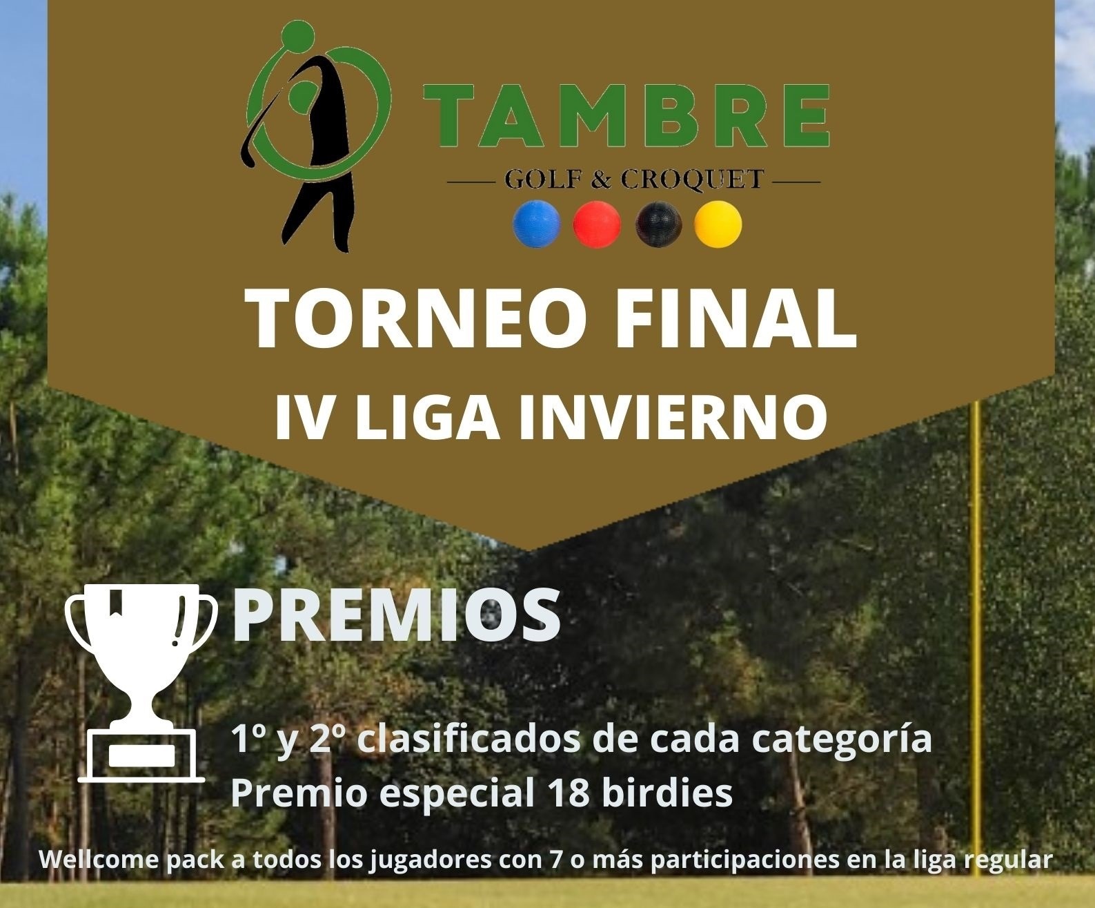 IV FINAL LIGA INVIERNO - destac