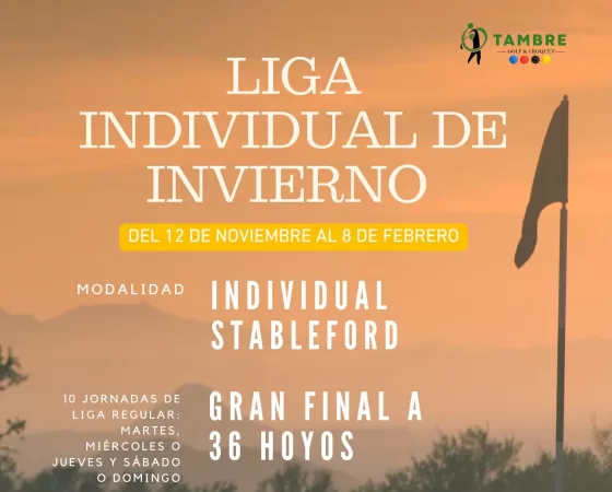 V Liga Individual de Invierno