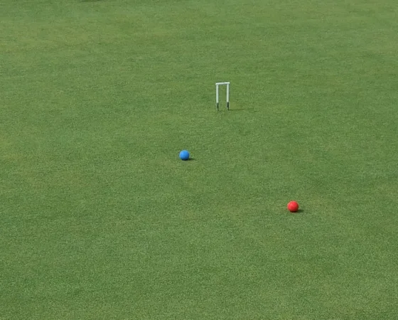 TORNEO SOCIAL CROQUET GC