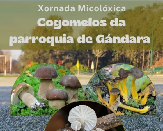 Xornada micolóxica na parroquia da Gándara