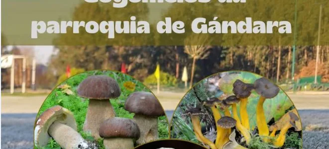 Xornada micolóxica na parroquia da Gándara