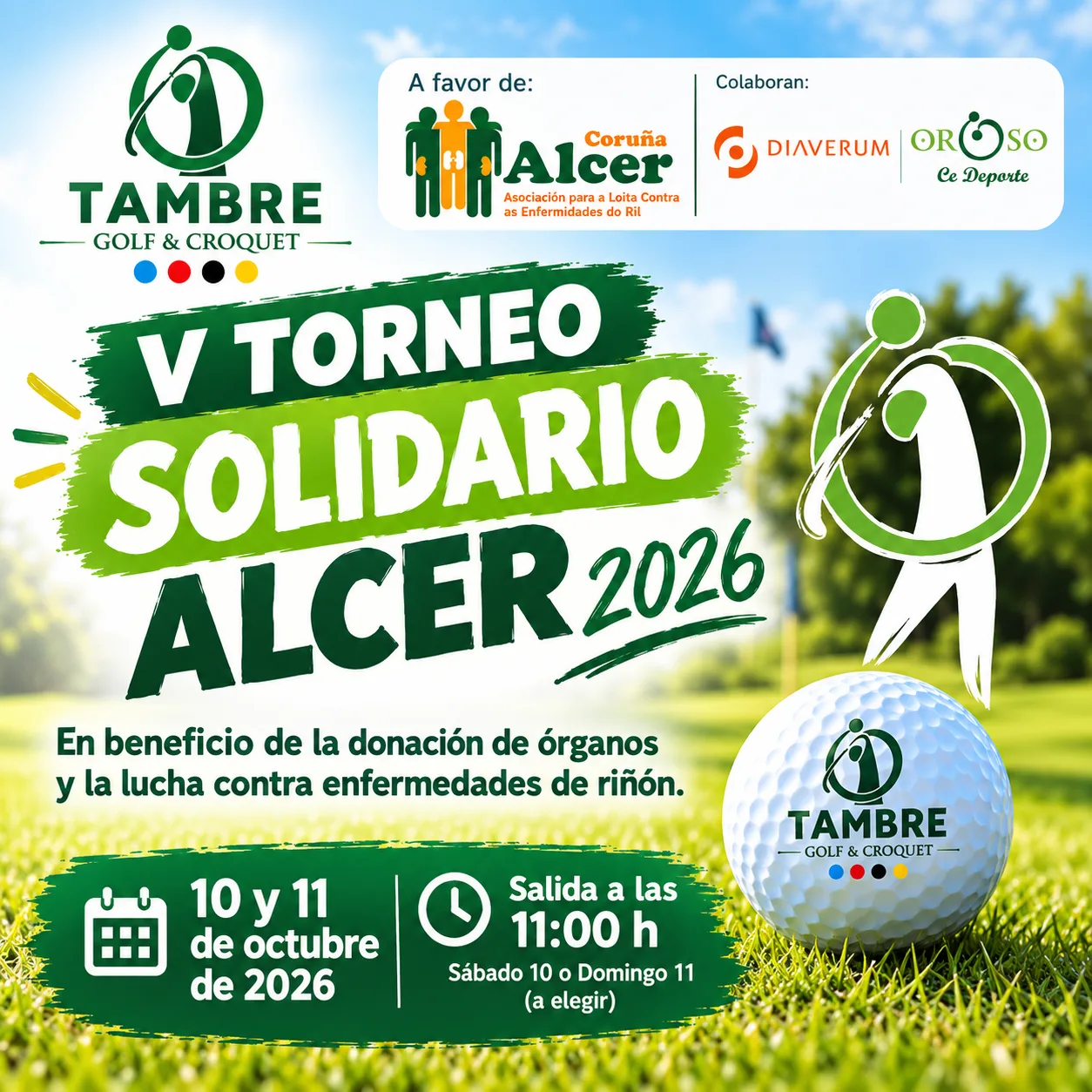 alcer 2026